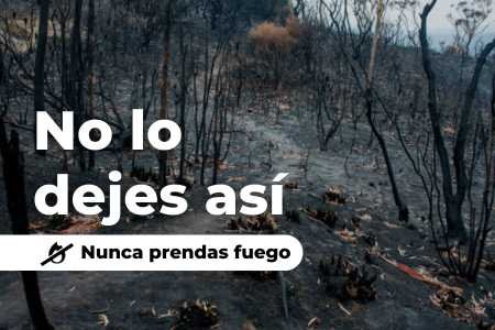 no hagas fuego conaf