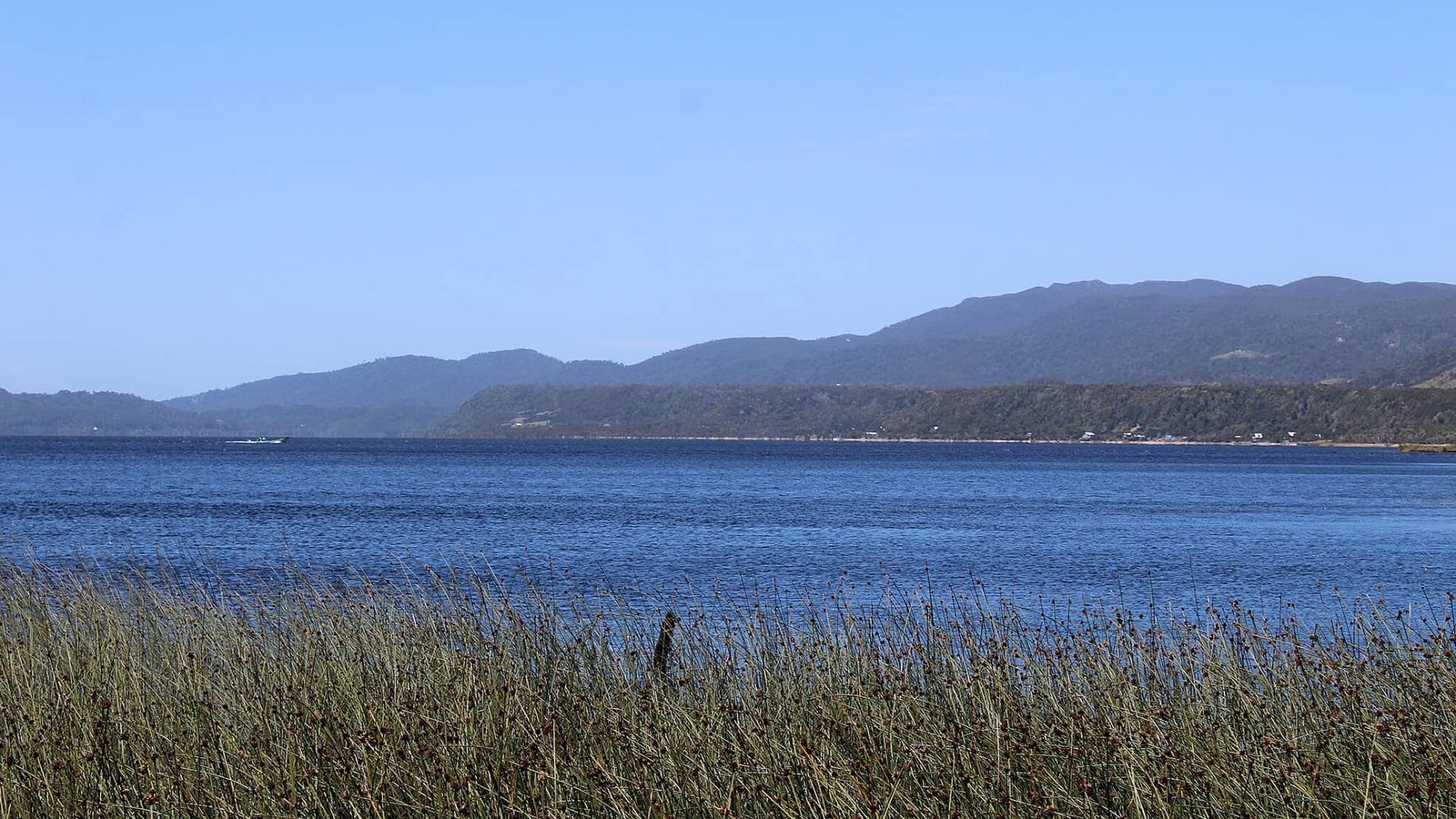 parque nacional chiloe