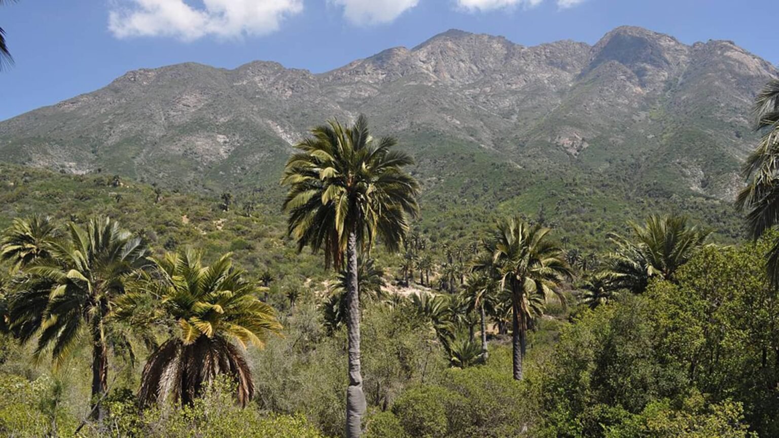 parques-nacionales-chilenos-parques-nacionales-chilenos