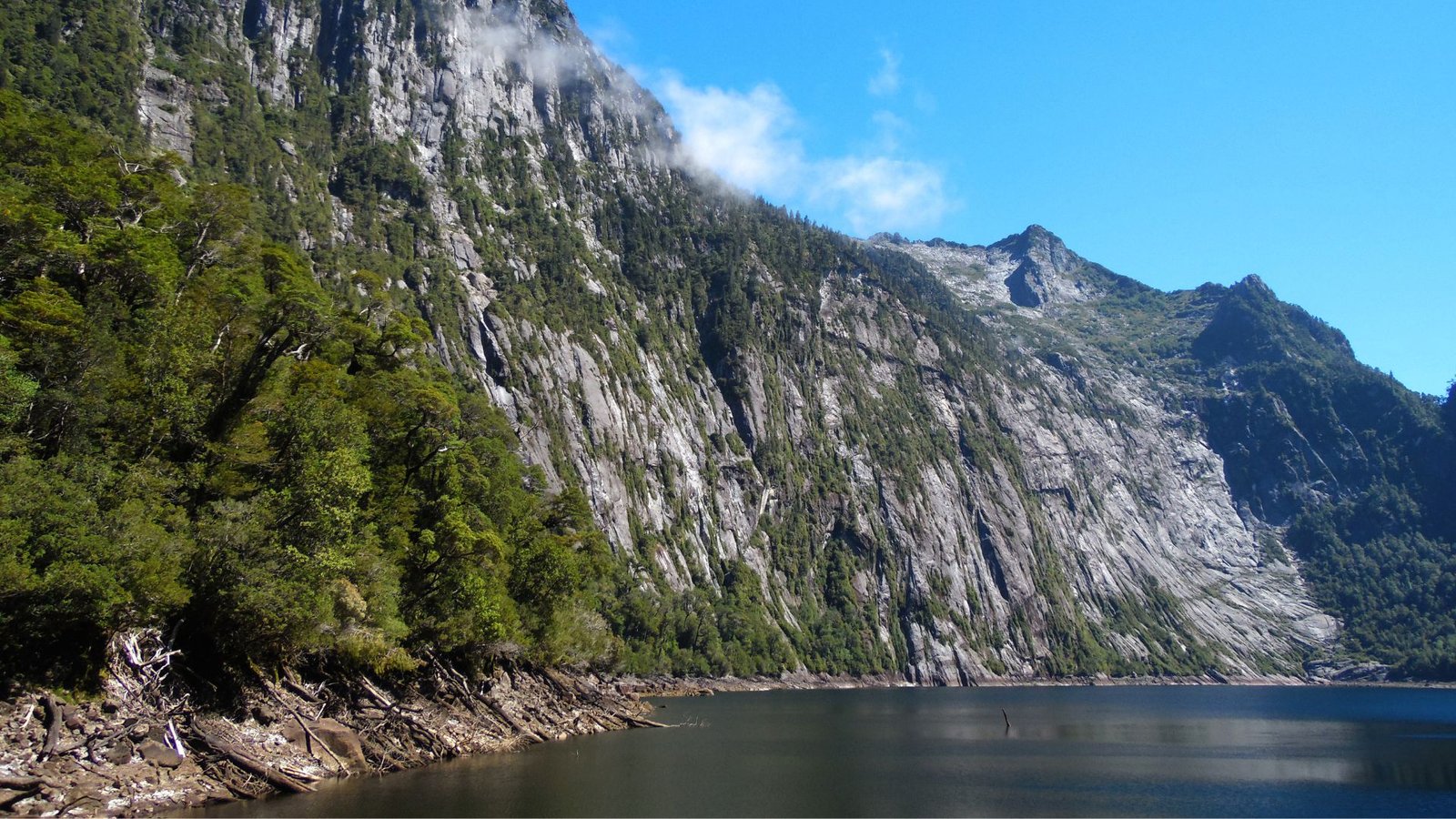 parque nacional alerce andino