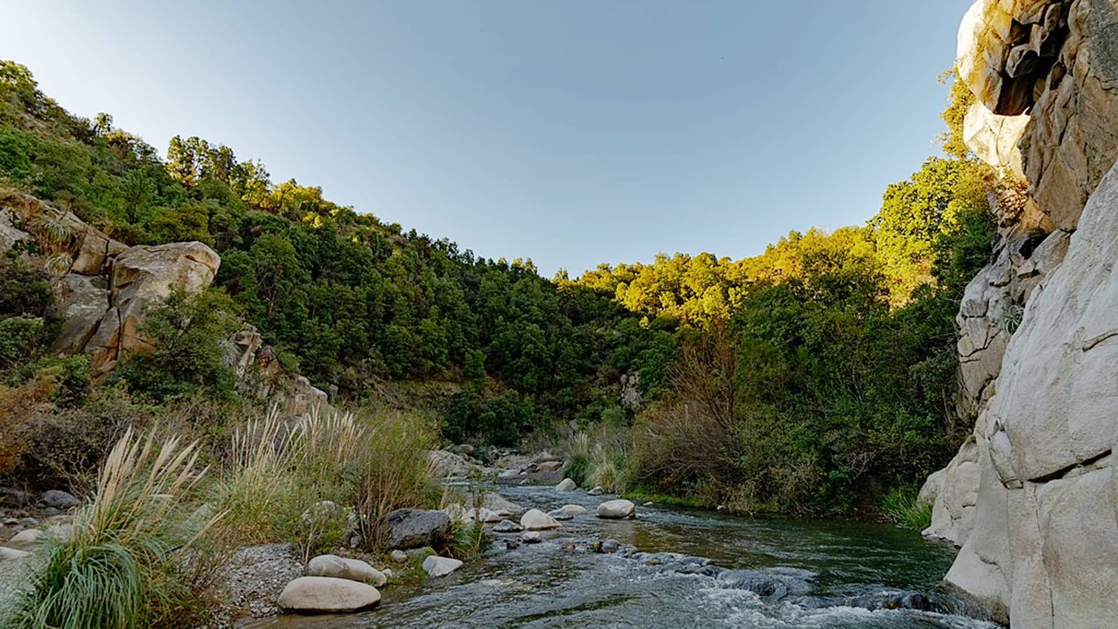 parque nacional rio clarillo