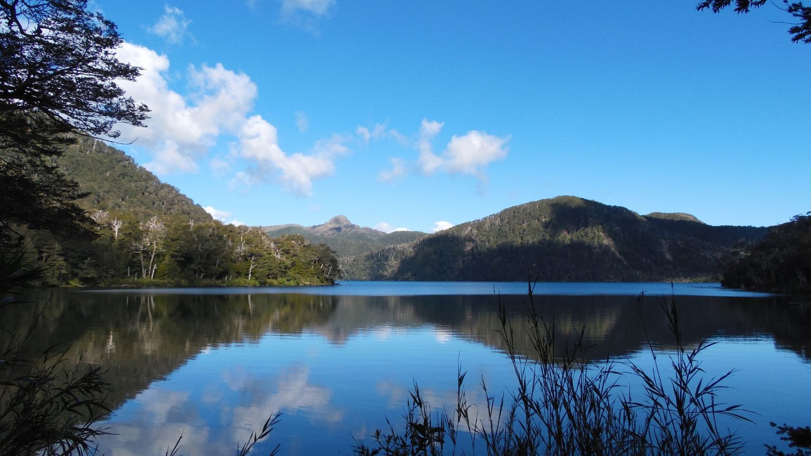 parque nacional puyehue