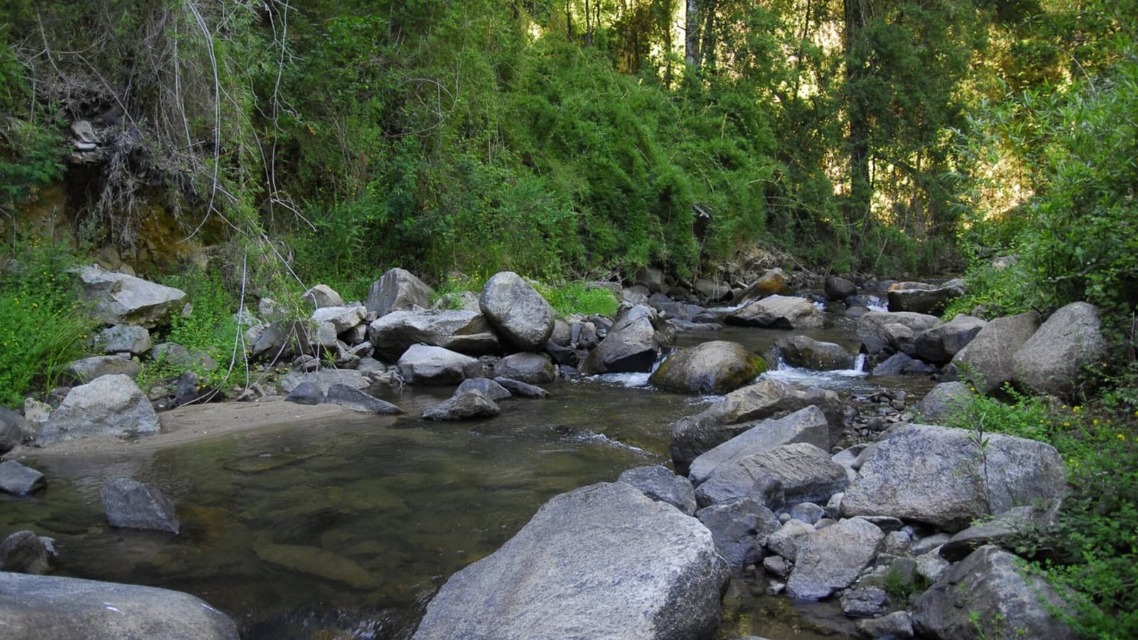 Parque nacional Nonguén