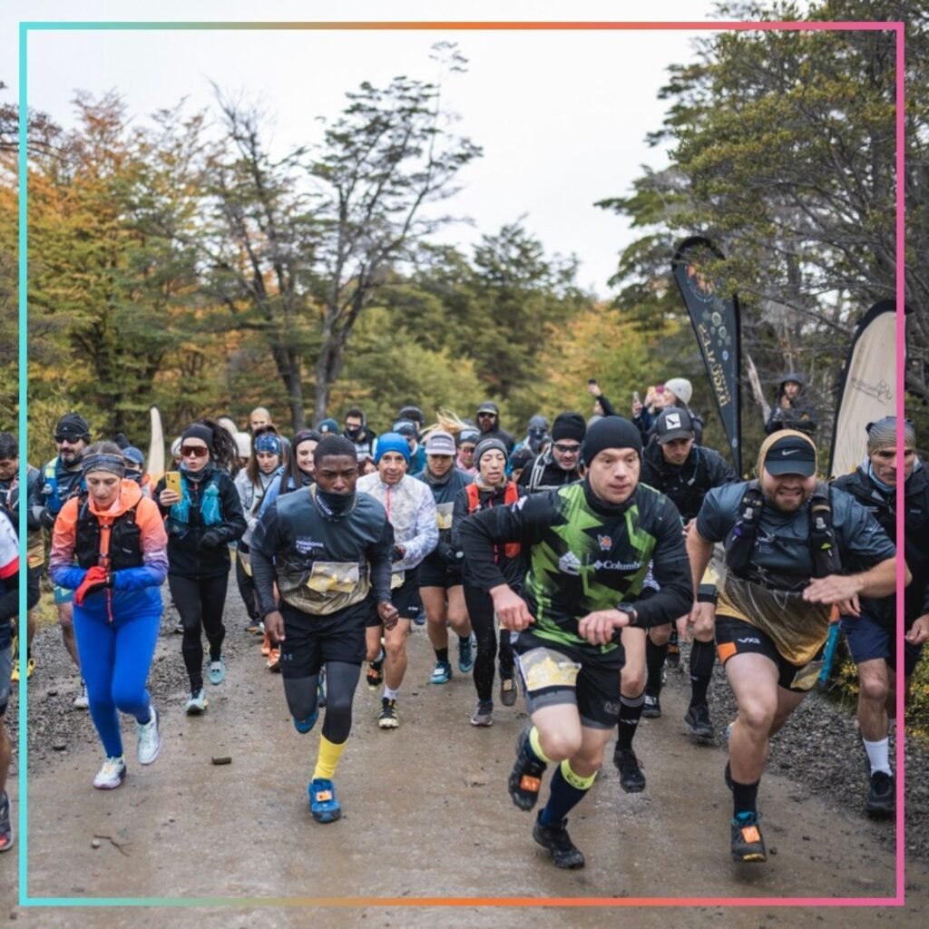 patagonia camp cup